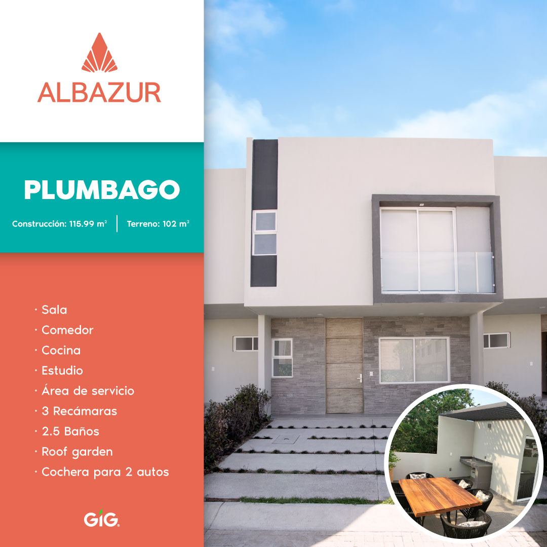 Prototipo Modelo Plumbago A y B